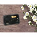 Skilledpower Portable AM & FM Radio with Digital Clock, Black SK3646739